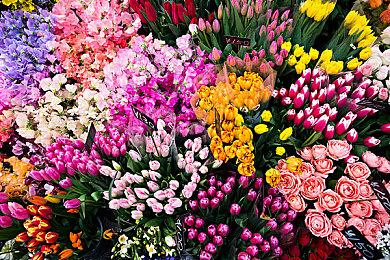 Fami通新一周销量榜：《咚奇刚：蕉力全开》未能超越《马车世界》！